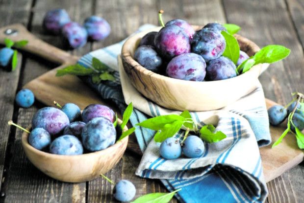 Синя накидка, хвостик – як нитка, смачна і зваблива соковита слива