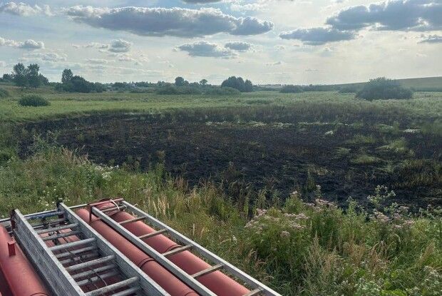 На Волині через необачного горів сухостій