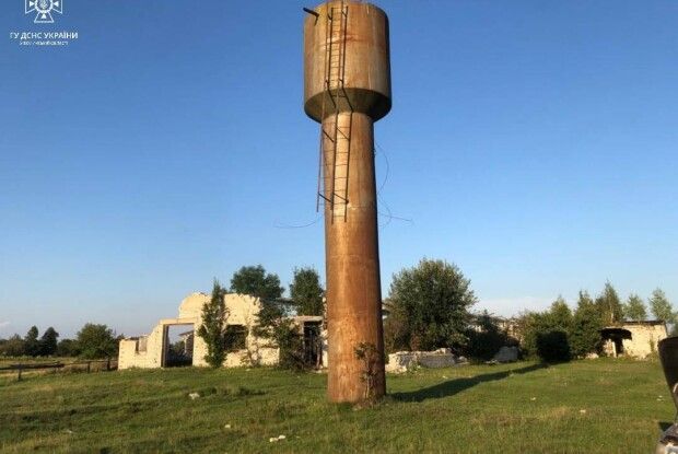 У селі на Волині лелеки впали у водонапірну вежу (Фото)
