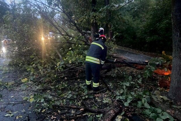 На Волині з дороги прибирали аварійне дерево, вантажівку та витягали легковик з багнюки