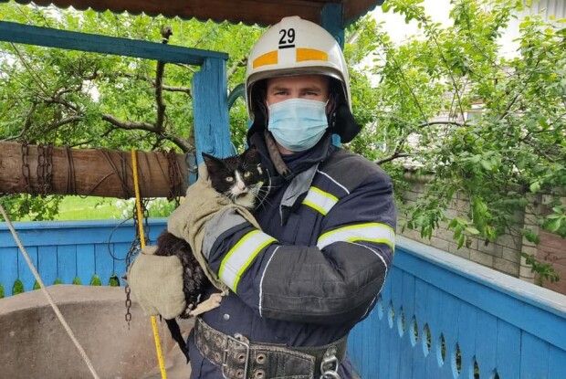 Бійці ДСНС врятували кота, який шубовснув у 20-метрову криницю (Фото)