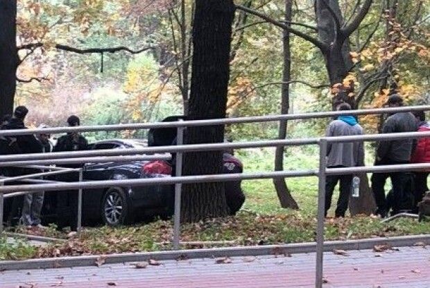 У Луцьку водій під наркотиками влетів у сквер і врізався в дерево (Фото)