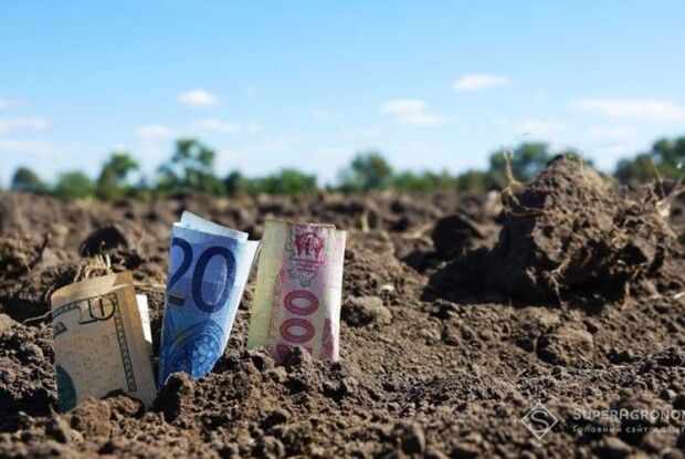 За скільки волиняни і рівняни продаватимуть свою землю