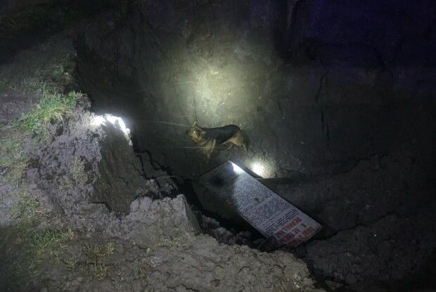 Волинські рятувальники визволили собаку із котловану