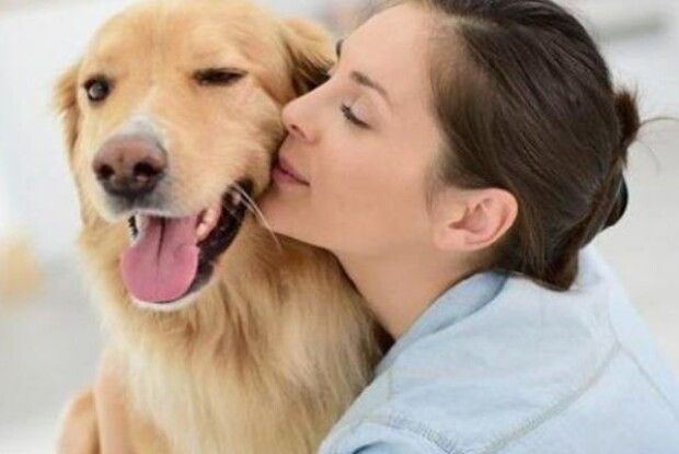 Жителька Волині заразилась від собаки небезпечною хворобою