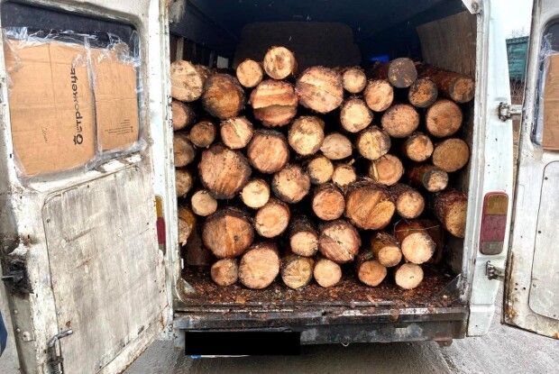 На Рівненщині спіймали водія, який перевозив 50 колод сосни без документів