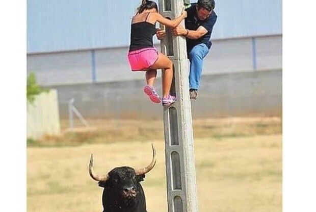 Конкурс «Стоп-Кадр»: «Хто скоріш зі стовпа зіскочить, той бика за роги й вхопить!»