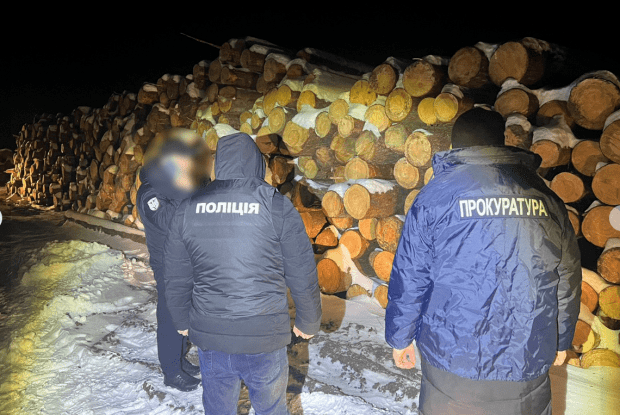 На Волині вкрали лісу щонайменше на 10 мільйонів гривень