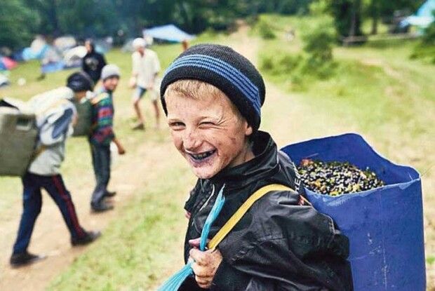 Випробувано на собі: чорничні заробітки на Волині