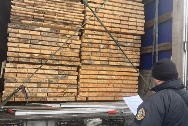 Волинські митники зупинили експорт соснових брусів із підробленим сертифікатом