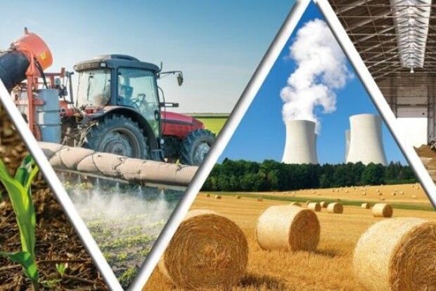 Волинські аграрії у 2020-ому не зменшили обсягів виробництва