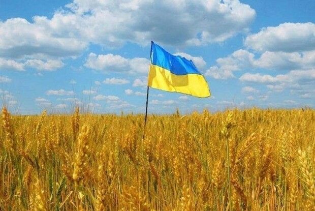 Прокурори на Волині домоглися повернення державі 166 га земель оборони вартістю 2,8 мільярда гривень