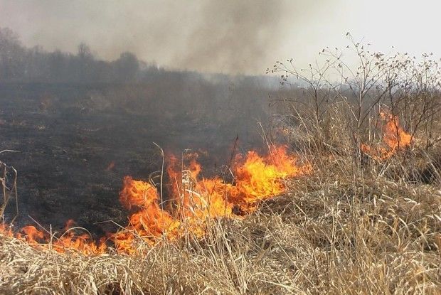 Палієві з поліської глибинки «світить» штраф