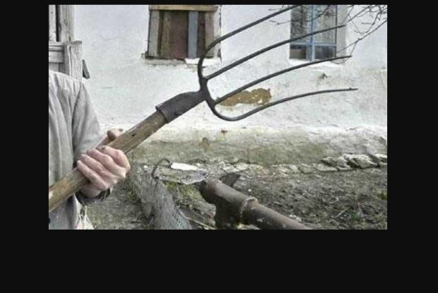 Як засудили поліщука, який заколов собаку вилами