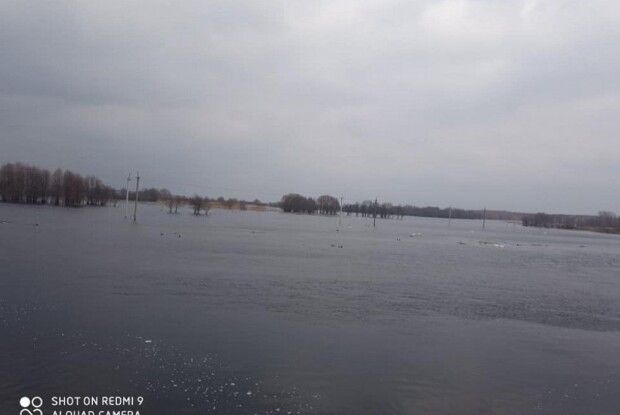 На Ратнівщині розлилася річка Прип'ять