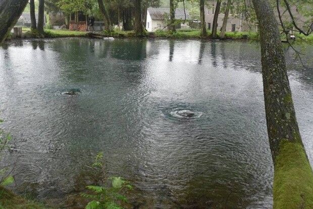 «Не біжить і навіть не капає»: унікальне джерело Волині опинилося під загрозою