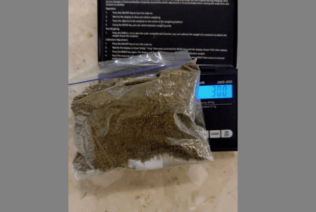 На волинському пункті пропуску «Устилуг» собаки виявили наркотики у подорожніх