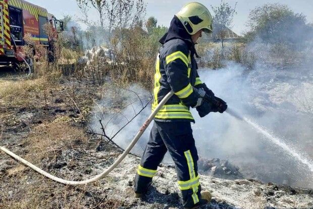 У Луцькому районі горіли сухостої