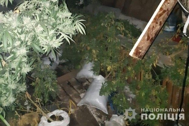 Волинські оперативники викрили діяльність двох нарколабораторій (Відео)