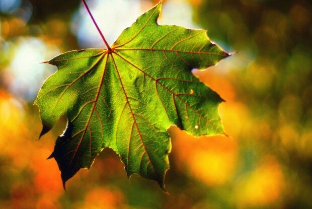Карта погоди Волині на найближчі дні