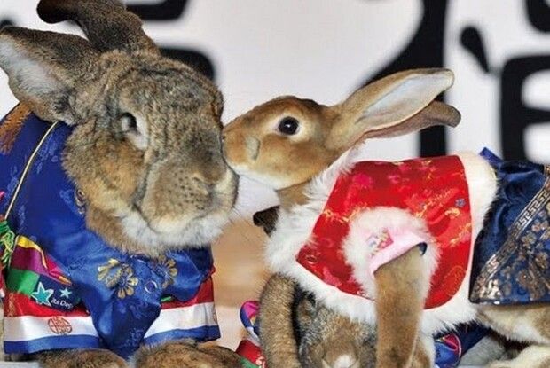 Коли в 2023-му році краще брати шлюб і народжувати дітей