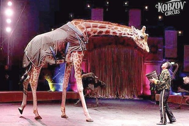 Смерть Джордана суддю не розчулила