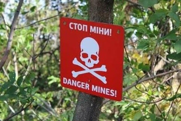 Волинянам нагадали, де не можна збирати ягоди