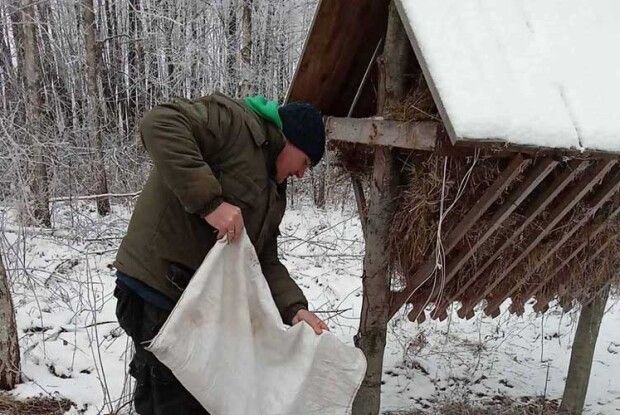 У нацпарку «Прип’ять – Стохід» підгодовують диких тварин
