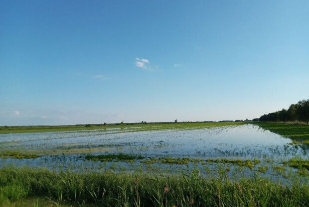 Наслідки стихії: на Ратнівщині за добу викачали 290 тисяч м.куб. води