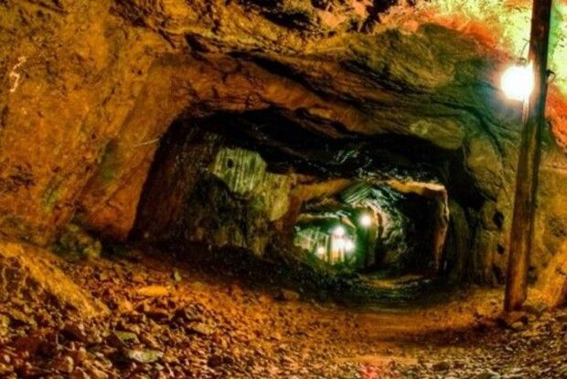 Новинський став співвласником компанії з видобування міді на Волині