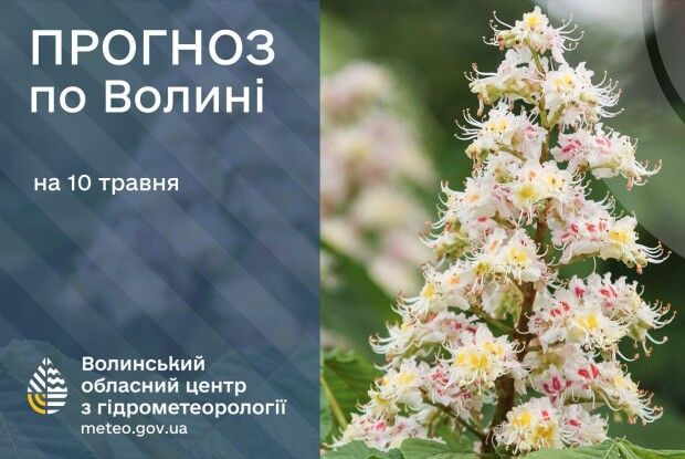 На скільки часу задощило на Волині
