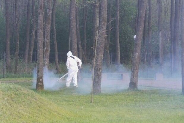 На Волині зафіксували дев'ять випадків вірусного енцефаліту