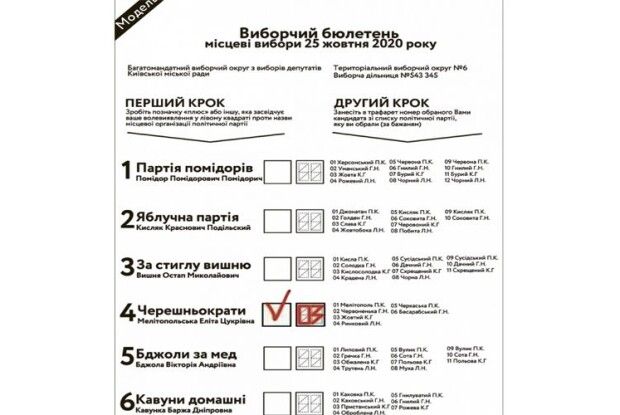 Як заповнювати нові виборчі бюлетені на місцевих виборах 2020 