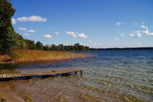 Люди з інвалідністю відпочили на Світязі