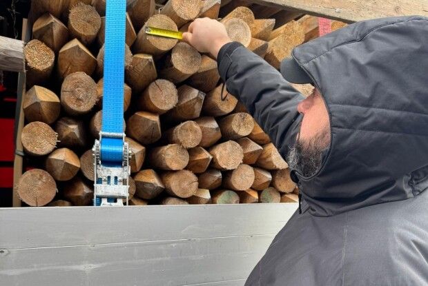 Через волинський кордон намагались незаконно вивезти з України 29 тонн сосни 