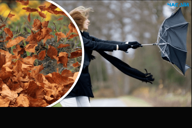 Погода: на Волині через сильний вітер оголосили «жовтий» рівень небезпеки