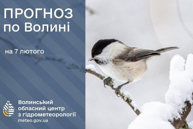 Ожеледиця та мороз: якою буде завтра погода на Волині