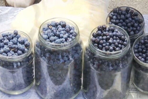 Багато волинян продають чорниці де заманеться, а оштрафували за це… лише одного?