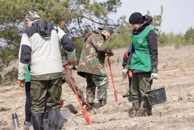 За сприяння Сашка Положинського поблизу Олики висадили 8 тисяч саджанців (Фото)