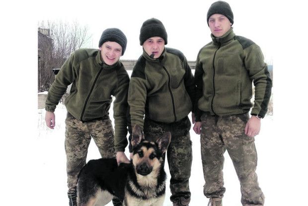 Живі талісмани війни: чого вартує собача вірність на фронті