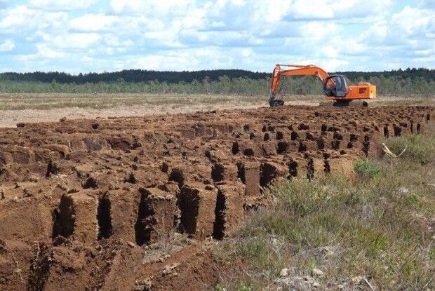 Взялись за начальника, який дозволив самовільно добувати торф на Маневиччині