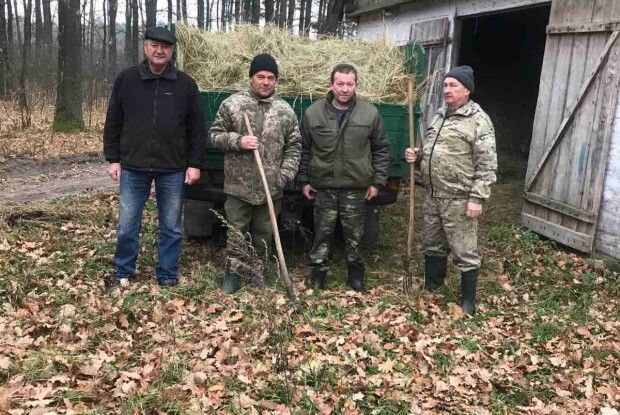 Зубрам Цуманської пущі буде що пожувати взимку (Фото)