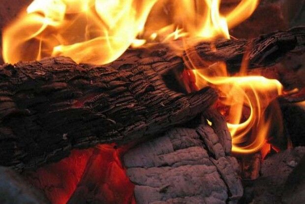 У Луцьку чоловік розвів багаття на території міста: муніципали  зловили його «на гарячому»