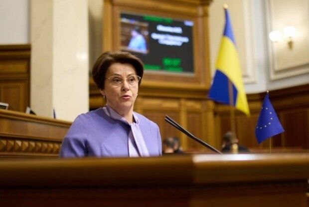 Ніна Южаніна про бюджет-24: ми на порозі великих труднощів