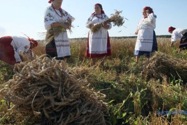 Фестивальний серпень на Рівненщині: від органної музики різних епох до «Спасової бороди»