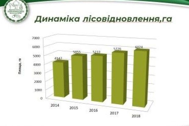 За минулий рік на Волині відновлено 6074 гектарів лісу