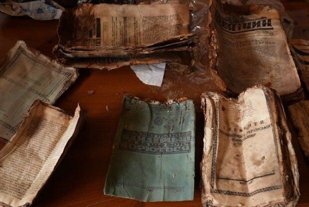 Під деревом, яке звалила буря, знайшли архів УПА