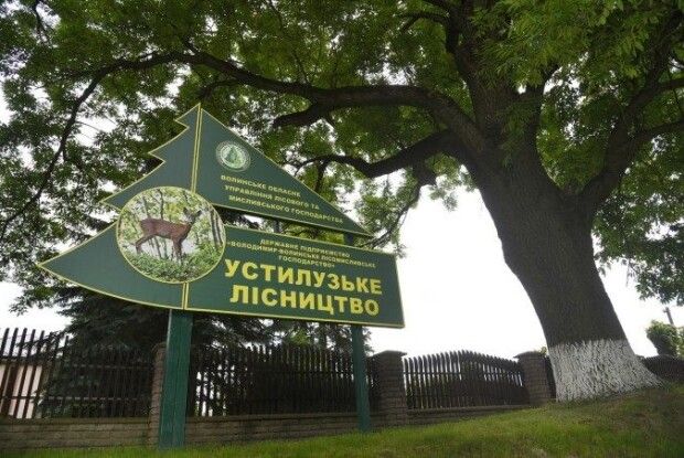 В Устилузі ростуть ясени, посаджені на честь скасування кріпосного права