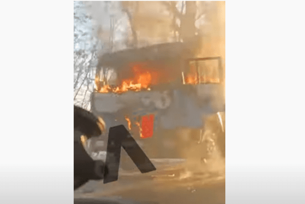 Біля Луцька на дорозі згоріла вантажівка (Відео)