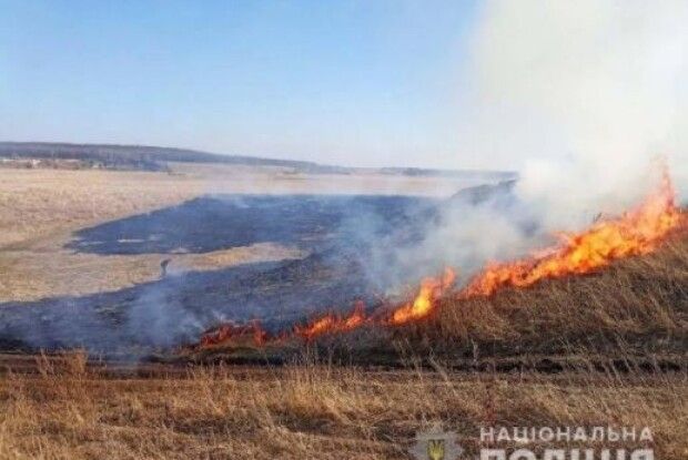 На Рівненщині чоловік загинув під час спалювання сухостою